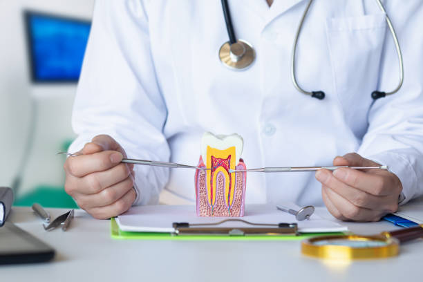 Best Emergency Care for Gum Disease in Sonora, TX